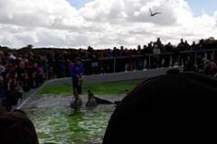 20170425_113437