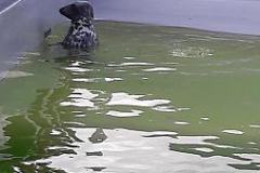 20170425_113607