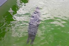 20170425_113615