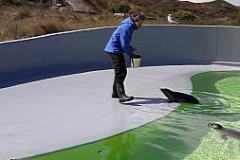 20170425_115048