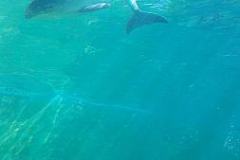 20170425_121054
