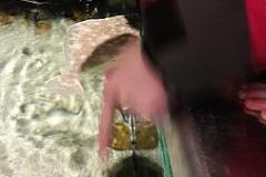 20170425_121623