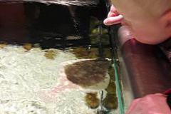 20170425_121627