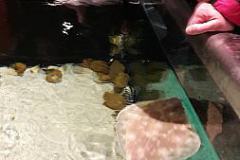 20170425_121631