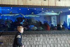20170426_133740