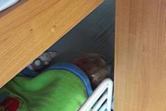 20170426_153425