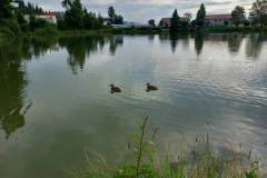IMG-20240715-WA0005