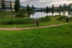 IMG-20240715-WA0006