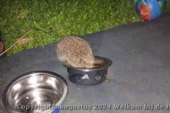 20240717_233823