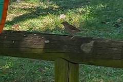 IMG-20240718-WA0006