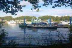 IMG-20240721-WA0022