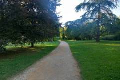 IMG-20240721-WA0023