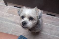 IMG-20240727-WA0001