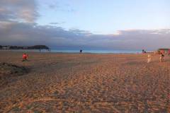 IMG-20241027-WA0017