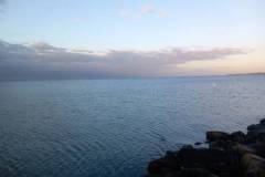 IMG-20241027-WA0022