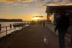 IMG-20241027-WA0026