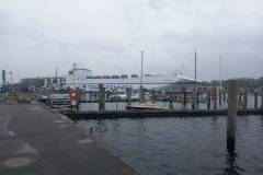 IMG-20241028-WA0013
