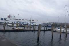 IMG-20241028-WA0014
