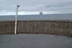 IMG-20241030-WA0015