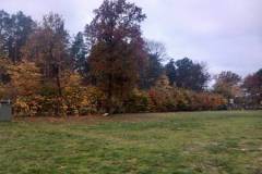 IMG-20241031-WA0004