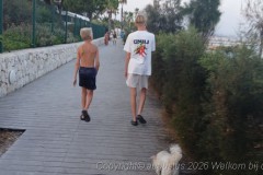 20260810_202020
