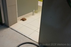 20260812_223752