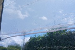 20260514_155248