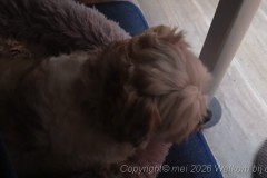 20260514_204025