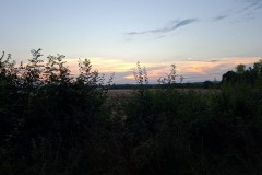 IMG-20260816-WA0006