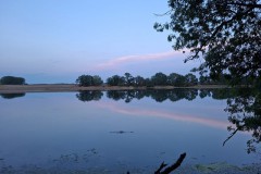 IMG-20260816-WA0007