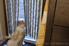 20260524_215926