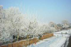 DSC03328