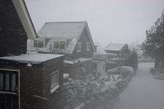 DSC03699