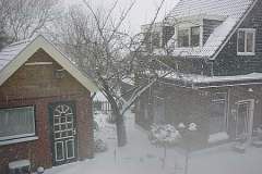 DSC03701
