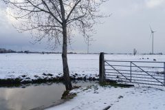 20260104_150905-scaled