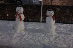 20260107_065244-scaled