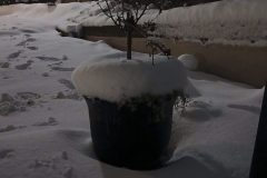 20260107_200114-scaled