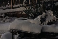 20260107_200118-scaled