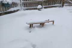 IMG-20260111-WA0003