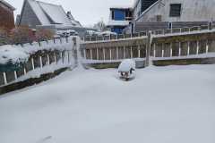 IMG-20260111-WA0004