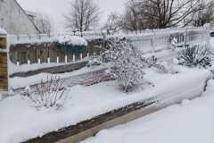 IMG-20260111-WA0006