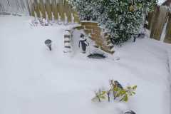IMG-20260111-WA0007