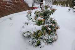 IMG-20260111-WA0008