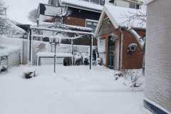 IMG-20260111-WA0009