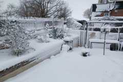 IMG-20260111-WA0010