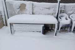 IMG-20260111-WA0014