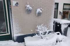 IMG-20260111-WA0019