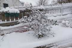 IMG-20260111-WA0020