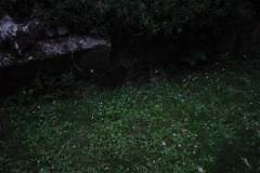 DSC00925